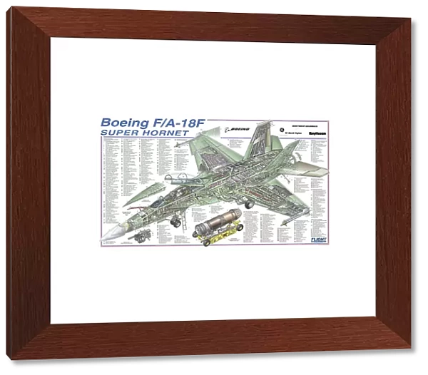 Boeing F  /  A-18F Super Hornet Cutaway Drawing