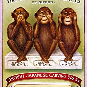 Popular Themes Canvas Print Collection: 3 Wise Monkeys