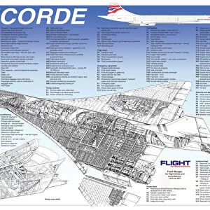 Popular Themes Collection: Concorde