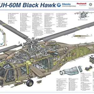 Popular Themes Collection: Sikorsky Cutaway