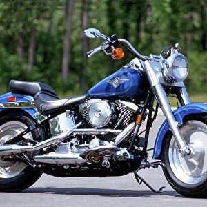 Popular Themes Collection: Harley-Davidson