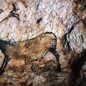 Popular Themes Metal Print Collection: Cave Paintings