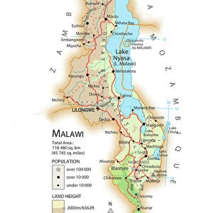 Africa Pillow Collection: Malawi