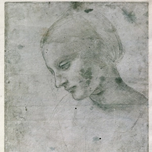 Renaissance art Collection: Famous works of Leonardo da Vinci