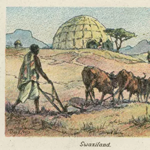 Africa Framed Print Collection: Swaziland (Eswatini)