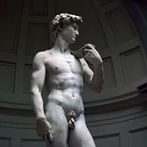 Renaissance art Collection: Famous works of Michelangelo