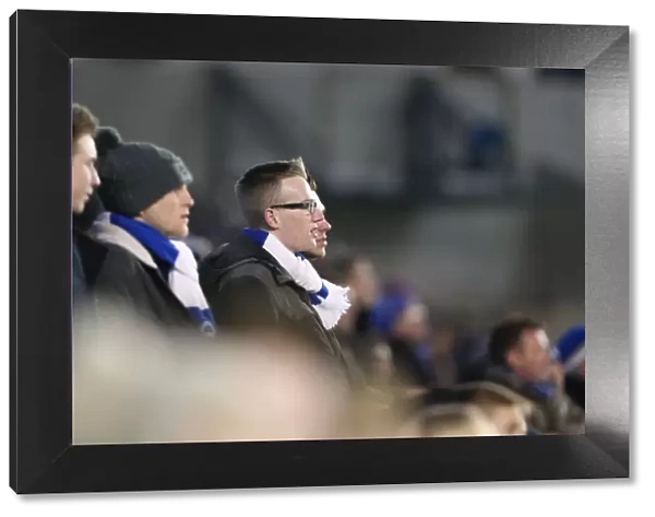 Passionate Moment: Brighton and Hove Albion Fans Unwavering Support vs Ipswich Town (January 2015)
