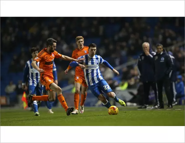 Brighton's Danny Holla Fights for Possession Against Ipswich Town in Sky Bet Championship Clash, January 2015