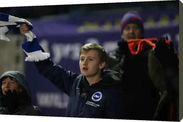 Passionate Albion Fans: A Moment of Pride at the American Express Community Stadium (Brighton and Hove Albion vs Ipswich Town, 21st January 2015)