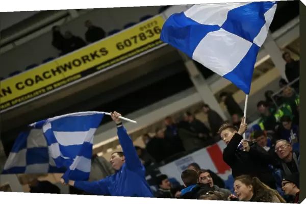 Passionate Albion Fans: A Moment of Pride at the American Express Community Stadium (Brighton and Hove Albion vs Ipswich Town, 21st January 2015)