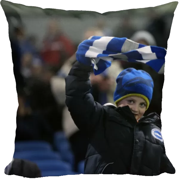 Passionate Moment: Brighton and Hove Albion Fans Unwavering Support vs Ipswich Town (January 2015)