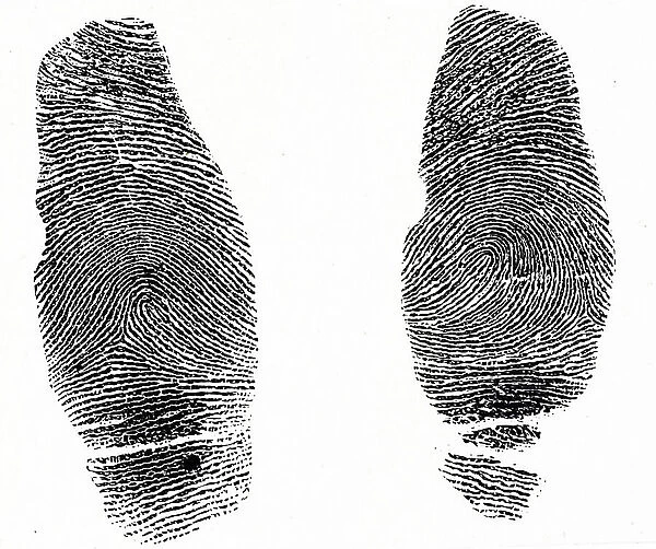 Two different sets of thumb prints