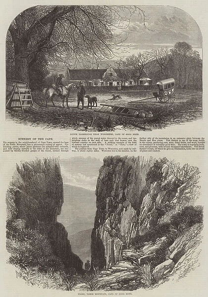 Scenery of the Cape (engraving)
