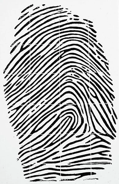 Thumb print with reference grid superimposed used to identify criminals, 1892 (engraving)