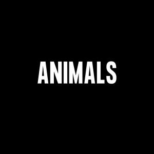: Animals