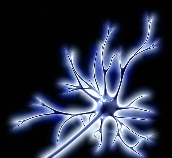 Nerve cell with electrical sparks