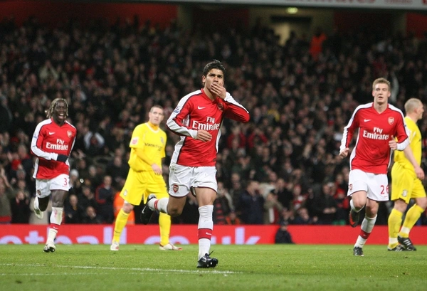 Eduardo celebrates scoring the 3rd Arsenal goal