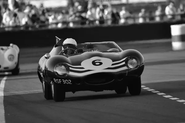 CJ9 9230b W Gary Pearson, Jaguar D-Type Long Nose Available As Framed ...