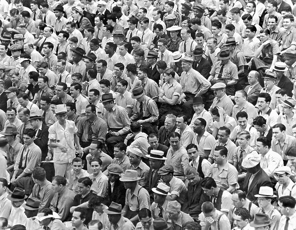 Baseball fans in the bleachers at Yankee Stadium