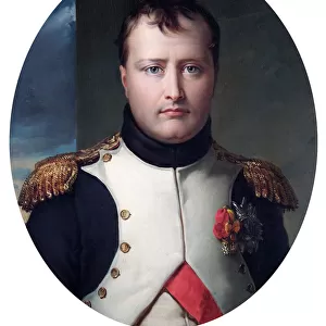 Waterloo 200 Metal Print Collection: Portraits of Napoleon