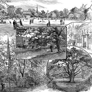 Sights Metal Print Collection: Clissold Park