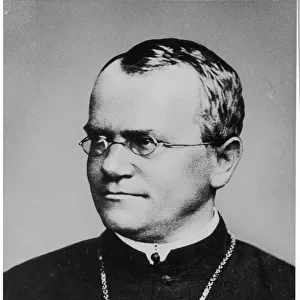 Famous inventors and scientists Pillow Collection: Gregor Mendel