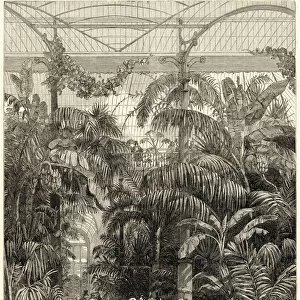 Sights Premium Framed Print Collection: Kew Royal Botanic Gardens