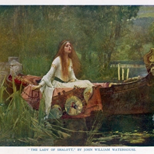 Popular Themes Framed Print Collection: Lady of Shalott