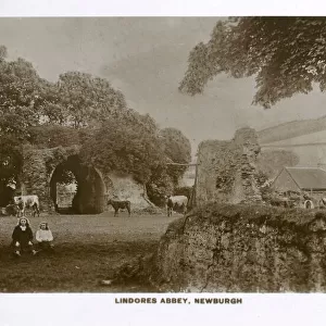 Fife Jigsaw Puzzle Collection: Newburgh