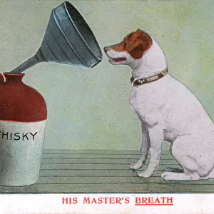 Terrier Poster Print Collection: Jack Russell Terrier