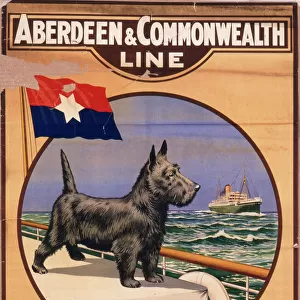 Terrier Poster Print Collection: Australian Terrier