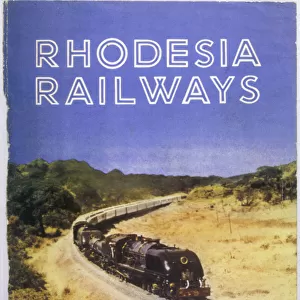 Rallidae Fine Art Print Collection: African Rail