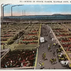 Missouri Poster Print Collection: Kansas City
