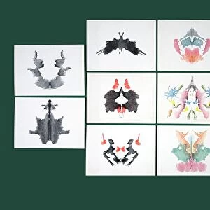 Popular Themes Jigsaw Puzzle Collection: Inkblot