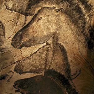 Popular Themes Metal Print Collection: Cave Paintings