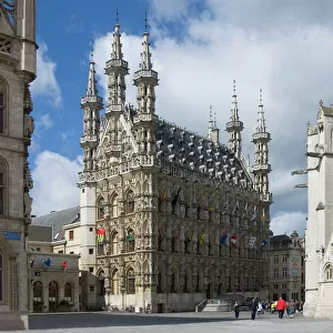 Belgium Jigsaw Puzzle Collection: Leuven