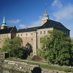 Norway Photo Mug Collection: Castles