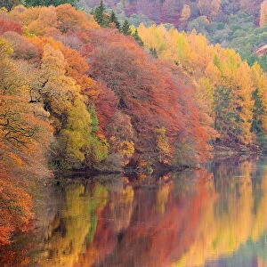 Lakes Jigsaw Puzzle Collection: River Tummel