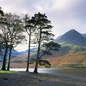 Cumbria Poster Print Collection: Buttermere