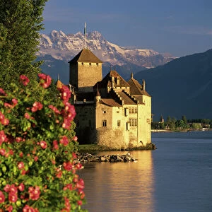 Switzerland Poster Print Collection: Castles