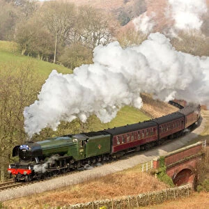 Trains Photographic Print Collection: The Flying Scotsman