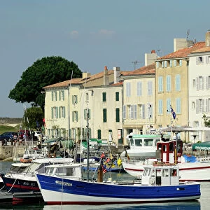 Canton Jigsaw Puzzle Collection: Charente