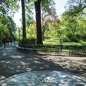 Manhattan Framed Print Collection: Central Park