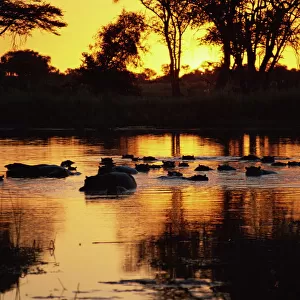 Botswana Heritage Sites Jigsaw Puzzle Collection: Okavango Delta