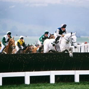 Sport Jigsaw Puzzle Collection: Horse Racing