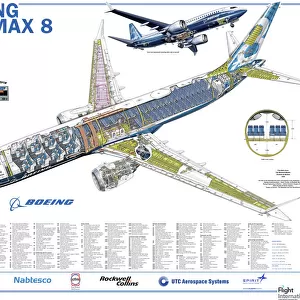 Aeroplanes Jigsaw Puzzle Collection: Boeing 737