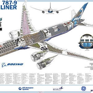 Aeroplanes Framed Print Collection: Boeing 787