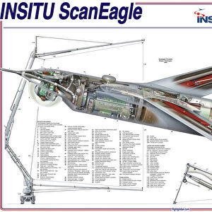 Popular Themes Jigsaw Puzzle Collection: ScanEagle