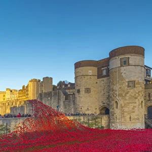 Events Jigsaw Puzzle Collection: Remembrance Day