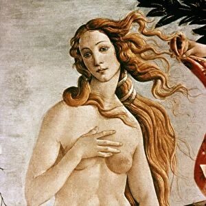 Renaissance art Pillow Collection: Famous works of Botticelli